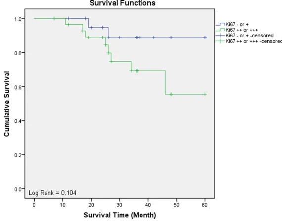 Figure 2. Kaplan-Meier survival curves for MCM2 in patients with EAC.