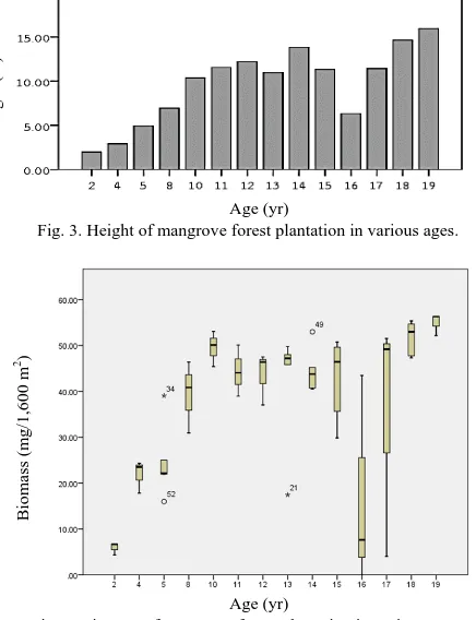 Fig. 4. Biomass of mangrove forest plantation in various ages.  