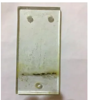 Figure 2.1: Glass Specimen 