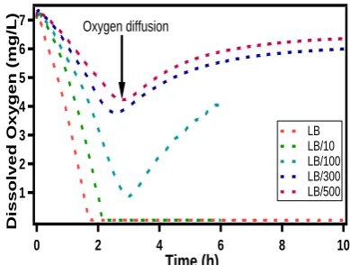Fig. 3. Experimental curves representing the oxygen consumption by  bacteria E.Coli  ( 9.2  107 cells per mL),  in LB buffer, respectively in a ‘ macro’ device and our microsystem chip
