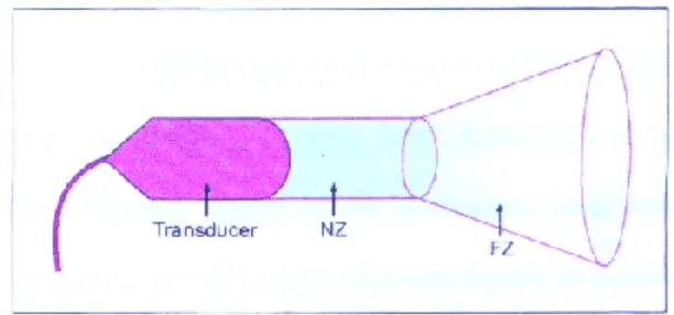 Figure 4 b   