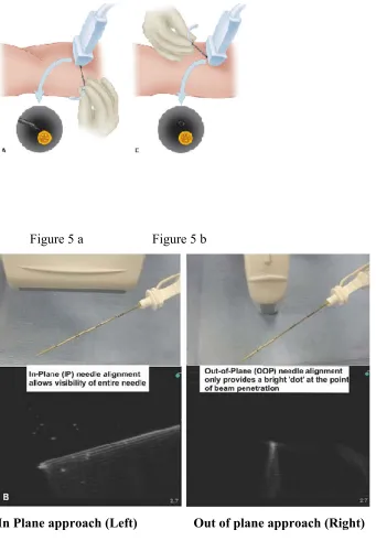 Figure 5 a  