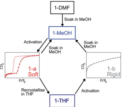 Fig. 6Summary of the transformations described for the MOPs basedon 1.