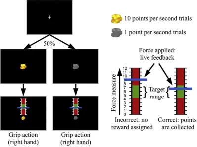 Fig. 2. Schematic representation of the computer task. Amoves vertically on the scale