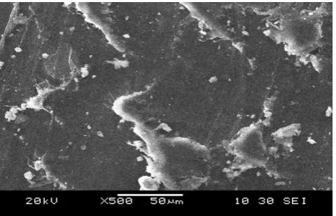 Figure 7 SEM of Untreated Mica (10%) with PPO  