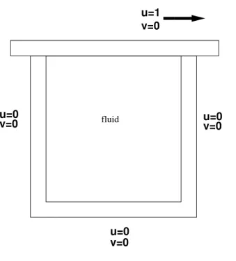 Figure 5.1: Lid driven cavity Problem