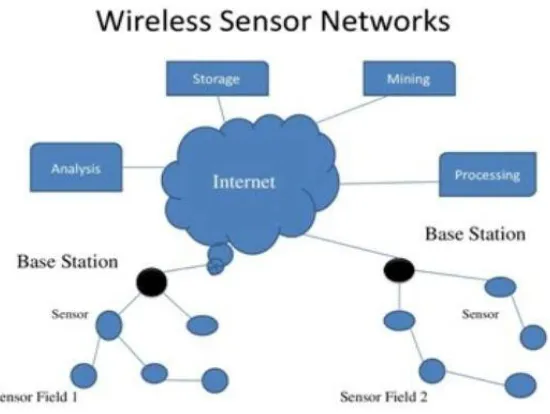Figure 1.1: Wireless Sensor Networks: A Structure