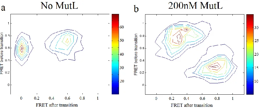 Figure 4.2 Transition density plots of donor-MutS and acceptor-DNA FRET. a. Transition 