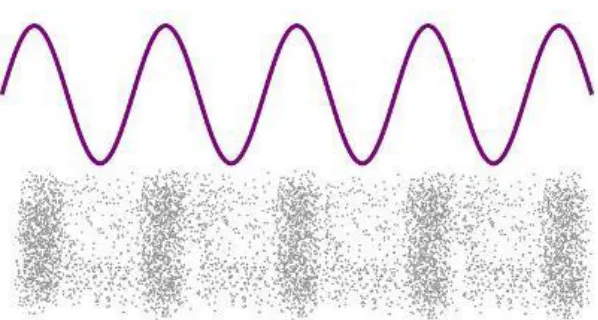 Figure 5: One-Dimensional Signal (Waveform) 