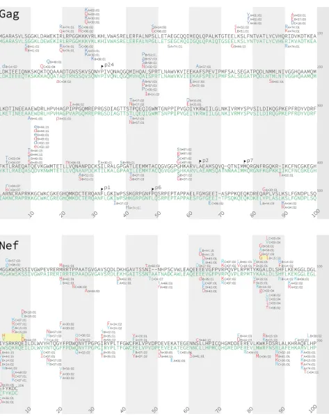 FIG 3 Gag, Nef, protease, reverse transcriptase, and integrase immune escape maps of HLA-associated polymorphisms identiﬁed in subtypes A1 and D.HLA-associated polymorphisms identiﬁed in HIV subtype A1 (black consensus sequence) are displayed above; those 