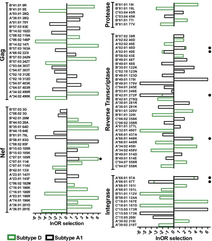 FIG 4 HLA-associated polymorphisms exhibiting differential selection between subtypes A1 and D