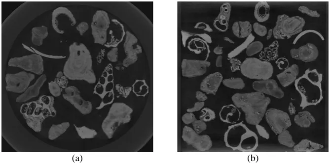 Fig. 2. Cross sections through the 3D tomographic image of the shelly sand prior to loading