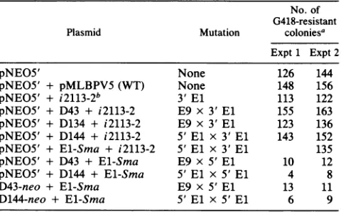 TABLE 3. Complementation of BPV mutants in C127 cells-focus formation