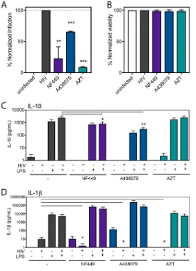 FIG 1 NF449 and A438079 inhibit HIV-1 productive infection in PBMCs with minimal inhibition ofand IL-1inﬂammatory cytokines