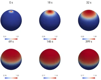 Figure 7: Numerical simulations of the BSWP model (5)-(8) on a sphere: The active form of RhoGTPase a propagating from a ”stimulating” initial condition (17) over a sphere.The numericalsolution reaches a stable conﬁguration after about 100 seconds