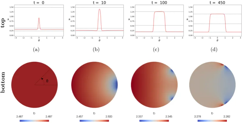 Figure 4: Numerical solutions of the BSWP model (12)-(15) with εsolution2 = 0.001 on a disc at diﬀerenttime steps