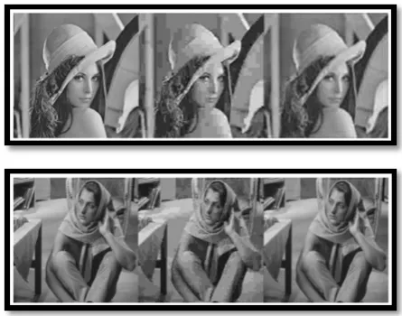 Figure 2.0: The original image (on the left), JPEG compressed-decompressed 
