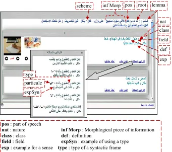 Figure 2. Example of a lexical entry of the normalized Arabic dictionary. 