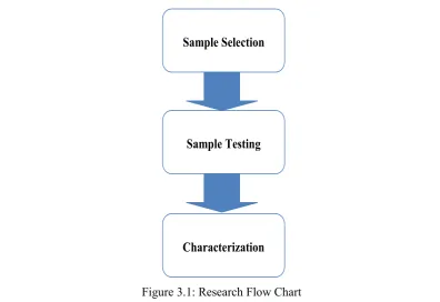 Figure 3.1: Research Flow Chart 