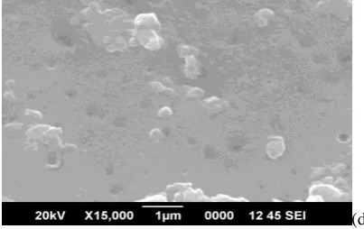 Fig. 3a – 3f.  Pure PVC shows a smooth surface morphology where as PEO with a rough surface having several crystal domains as observed by Wenjing Li et al