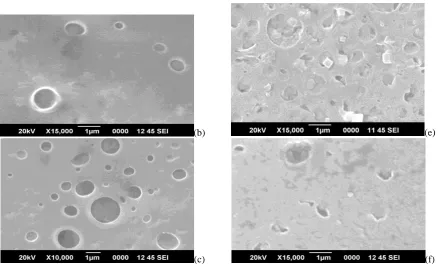 Fig. 3:(c)  SEM images of a) PVC (25%) – PEO (50%). b) SEM image of PVC (37.5%) – PEO (37.5%), 