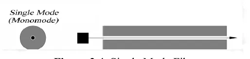 Figure 2.4: Single Mode Fiber 