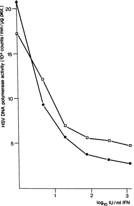 TABLE 3. Inhibition of HSV replication by combinations ofdifferent types of IFN
