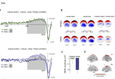 Figure 4 Motor encoding of images: Results of finger response-locked motor-cortical 