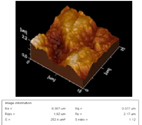 Fig. 18. AFM Topography(FW) – Simple 1-A 