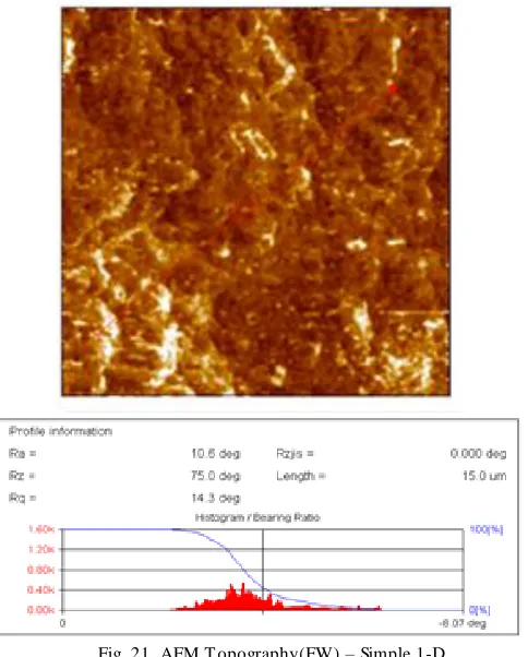 Fig. 21. AFM Topography(FW) – Simple 1-D 
