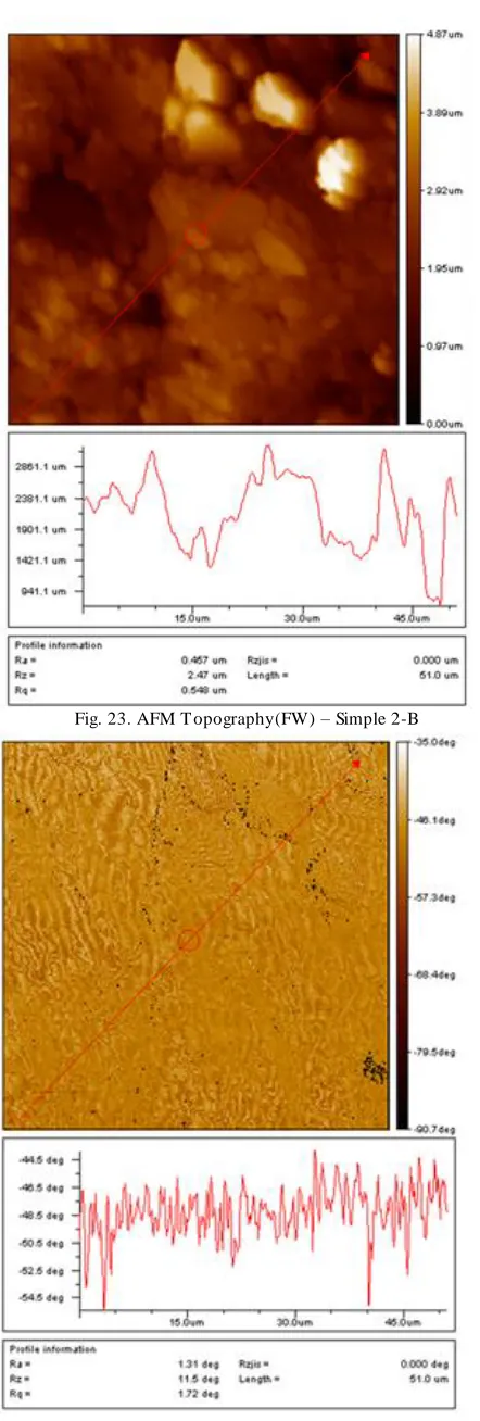Fig. 23. AFM Topography(FW) – Simple 2-B 