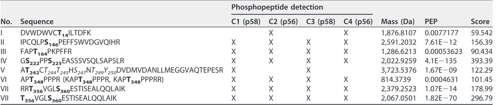 TABLE 1 Phosphopeptides of wild-type (C1 and C2) and mutated (C3 and C4) HCV NS5A proteinsa