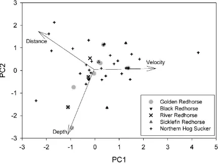 Figure 6.  Principal Components Analysis relating distance to bank, depth, and mean-column velocity to the species of larvae collected in visual surveys in 2013