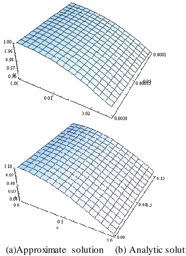 Fig. 1.6. (HPM) three dimensional vision of the approximate solution and 