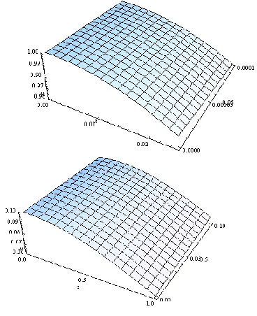 Fig. 1.10. (HPM) Three dimensional vision of the approximate solution and 