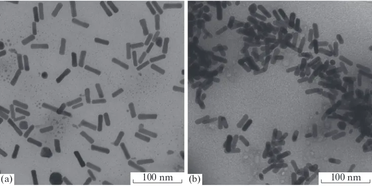 Fig. 1. TEM images of the sol of Au nanorods (a) before and (b) after phase transfer from aqueous medium to chloroform