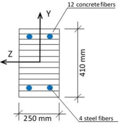Fig. 9. Fiber beam element cross section mesh for sample SS3a-1. 
