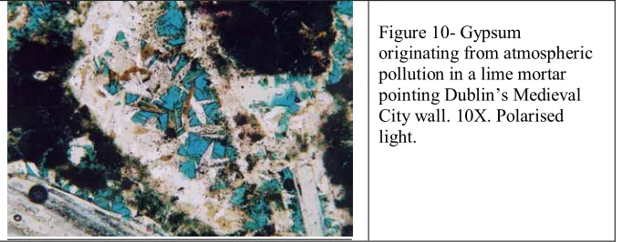 Figure 10- Gypsum 