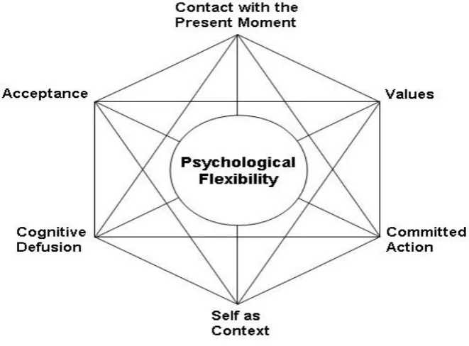 Figure 2: The ACT Hexaflex 