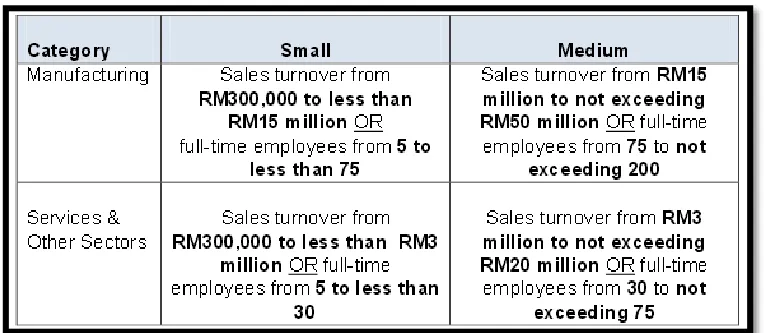 Table 2.1: Summarise definition of SME 