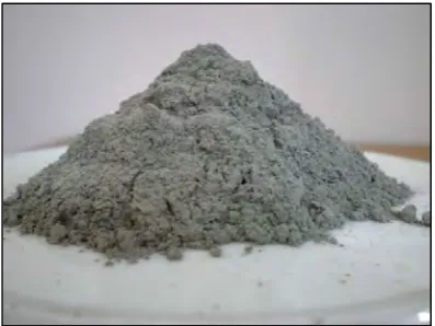 Figure 2.1: Fly ash. 