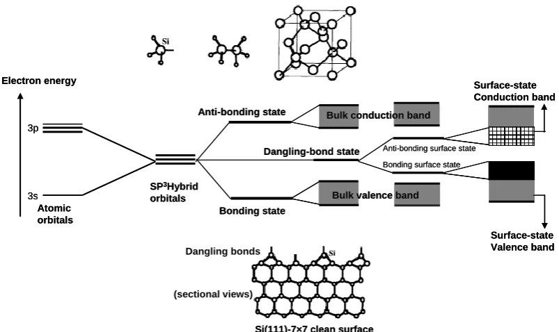 Figure 2.1 A schematic diagram for atoms and molecules, and also the bulk and the surface of a silicon crystal  