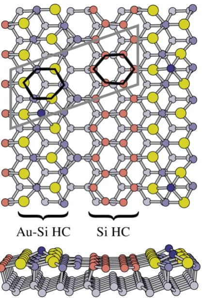 Figure 5.11 ‘‘Double honeycomb chain’’structure of Si(111)-5×2-Au. Large circles are Au, small circles are Si