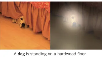 Fig. 2. The goal is to generateandrelevant. In contrast, explanations that are both image relevant and class descriptions are image relevant, but not necessarily class relevant, deﬁnitions are class relevant but not necessarily image relevant.