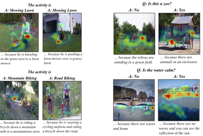 Fig. 4. Left: ACT-X qualitative results: For each image the PJ-X model provides ananswer and a justiﬁcation, and points to the evidence for that justiﬁcation
