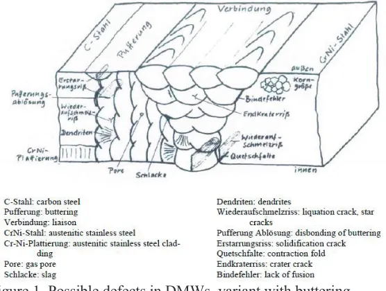 Figure 1. Possible defects in DMWs, variant with buttering 