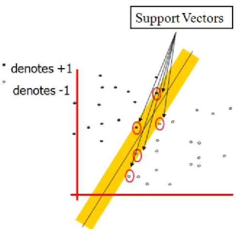 Figure 1.4 Representation of Support Vectors  