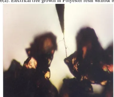 Fig. 6(a). Electrical tree growth in Polyester resin without barrier 