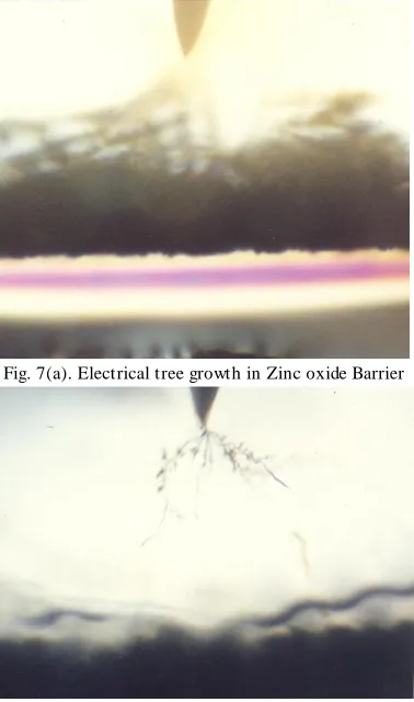 Fig. 7(a). Electrical tree growth in Zinc oxide Barrier 