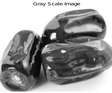 Fig 4.3 shows a High pass filter image. A high-pass filter can be used to make an image appear sharper